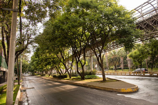 Mexico City Street scene bikes bridge and trees