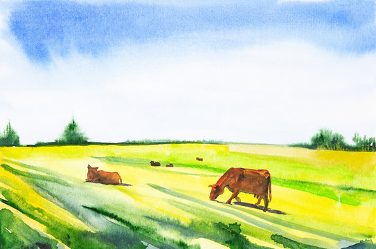Watercolor illustration of cows grazing in a meadow.