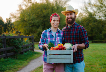 A man and a woman holding a box with a crop of farm vegetables background of the garden.