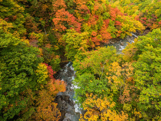渓谷　紅葉