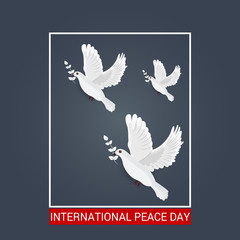 International Peace Day