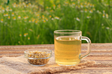Glass cup of green tea and dry white chamomile flowers in a glass bowl outdoor.