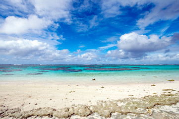 ニューカレドニア ロイヤルティ諸島　マレ島　パソビーチ