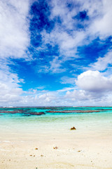 ニューカレドニア ロイヤルティ諸島　マレ島　パソビーチ