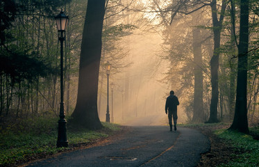 człowiec spacerujący w parku