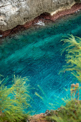 ニューカレドニア ロイヤルティ諸島　マレ島の勇士の跳躍