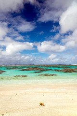 ニューカレドニア ロイヤルティ諸島　マレ島　パソビーチ