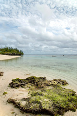 ニューカレドニア   ロイヤルティ諸島　マレ島　エニビーチの珊瑚