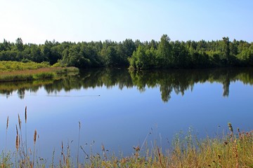 forest lake with grass and trees on the banks