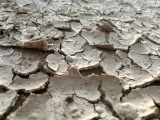 Terrain with cracks. Absence of rain. Severe drought. Brown dry land. Rural area of the center of...
