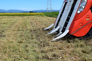 新米の収穫 コンバイン