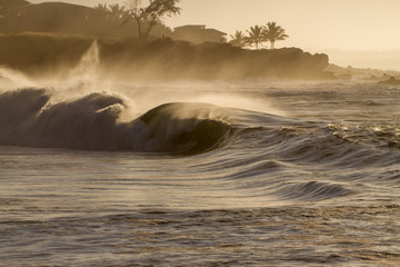 Fototapeta na wymiar Huge sunset wave breaking at Waimea Bay in hawaii