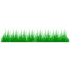 Green grass borders. Spring grass pattern. Tufts of grass. Design elements of nature. Vector illustration.