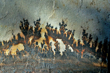 Dendritic pattern on rock is from manganese oxide growing in tree-like patterns 