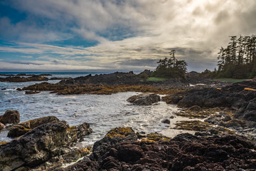 Meer Wald Natur Vancouver Island