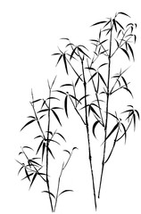 Fototapeta premium Digital illustration of bamboo, black and white.