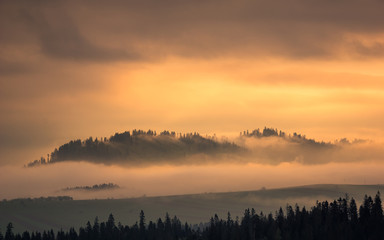 Fototapeta premium Foggy morning in Tatra mountains, Zakopane, Poland
