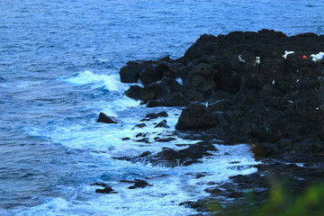 제주에 있는 서우봉 해변의 풍경이다.