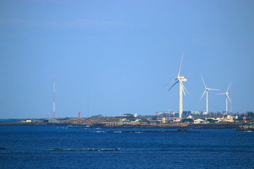 제주에 있는 서우봉 해변의 풍경이다.