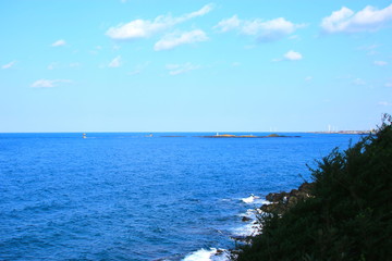 제주에 있는 서우봉 해변의 풍경이다.