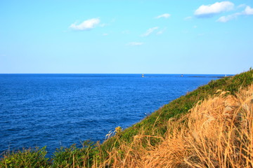 제주에 있는 서우봉 해변의 풍경이다.