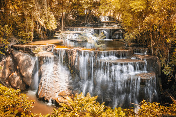 Golden autumn waterfall flowing in tropical rainforest