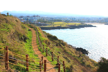제주에 있는 서우봉 해변의 풍경이다.