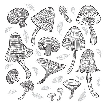 Vector set of mushrooms in boho style with ornaments