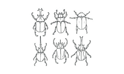 set of Beetle hand drawn sketch vector, Different beetles illustration on isolated background.
