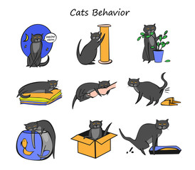 Cat Behavior Set