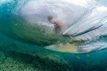 close up under water surfing action on a coral reef