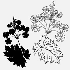 Vector dotanical illustration with flower . Vector design In black and white style. Elements isolated on background.Can be used for printing on paper, stickers, badges, bijouterie, cards, textiles, ta