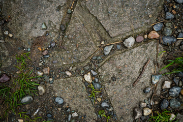Fototapeta premium Texture of paving slabs overgrown with grass. Background image of a stratum stone