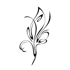 decorative element in the form of one stylized leaf with curls in black lines on a white background