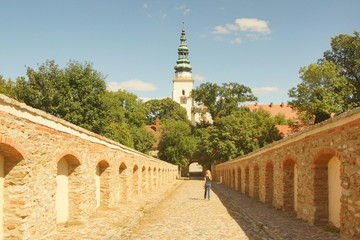 Henryków