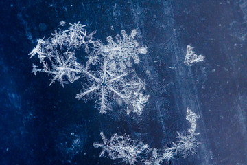 fragment of snow texture Snowflakes close-up. crystal clear ice. macro photo. winter. shallow depth...