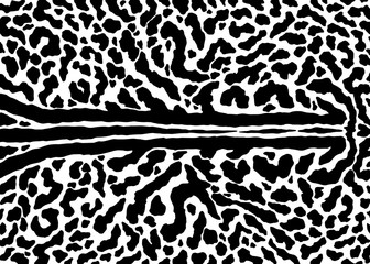 King cheetah skin pattern design. Cheetah spots print vector illustration background. Wildlife fur skin design illustration for print, web, home decor, fashion, surface, graphic design