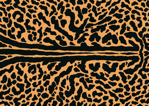 King cheetah skin pattern design. Cheetah spots print vector illustration background. Wildlife fur skin design illustration for print, web, home decor, fashion, surface, graphic design