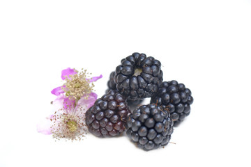 goup of freshness blackberries with flower isolated on white background