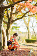 紅葉と着物の女性