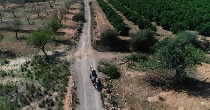 dron tras un jinete vaquero con sombrero paseando caballo western