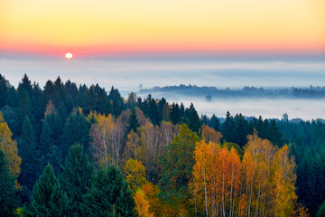 Naklejka na ściany i meble Morning landspace with sun rays. Beautiful landscape with forest and fog.Lithuanian landscape.