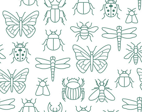 Insects Seamless Pattern With Flat Line Icons. Background - Butterfly, Bug, Dung Beetle, Scarab, Bee, Ladybug Vector Illustrations. Outline Signs Of Field Insect