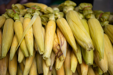 Stall of boiled corn for sell in the market