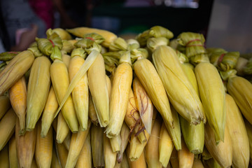 Stall of boiled corn for sell in the market