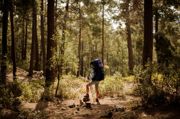 Obraz premium Girl in cap standing on the rock with hiking backpack and walking sticks