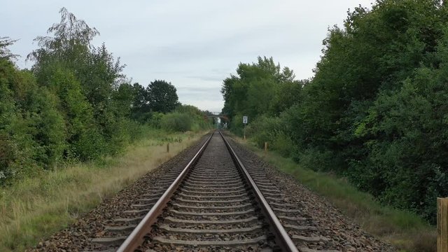 a green grasshopper is on a windshield and eats the remains of insects