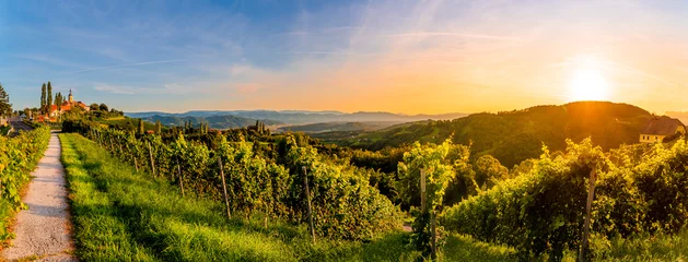 Foto op Plexiglas Landschapspanorama van wijngaard op een Oostenrijks platteland met een kerk op de achtergrond in Kitzeck im Sausal © Przemyslaw Iciak