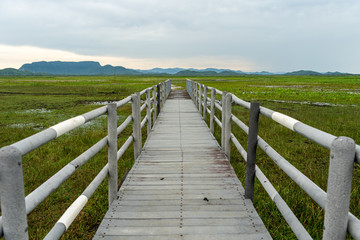 Beautiful view of the wetland in Palo Seco national park in Costa Rica