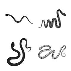 Vector design of harm and bite logo. Set of harm and reptile stock vector illustration.